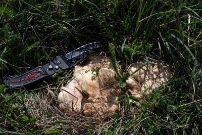 Прикрепленное изображение: IMG_0181.jpg